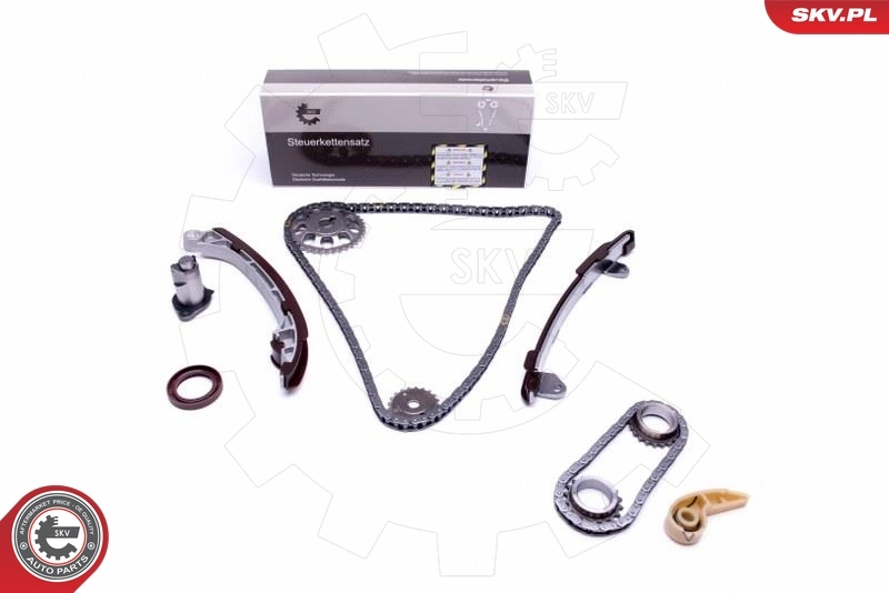 Timing Chain Kit